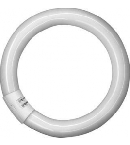 OSRAM CIRKEL L LAMP T8 32W/840