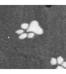 KUSSEN TEDDY RECHTHOEKIG GRIJS 100.5X63.5X3CM KUSSEN TEDDY RECHTHOEKIG GRIJS 100.5X63.5X3CM