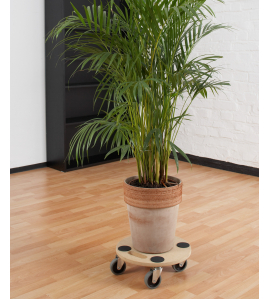 MEUBELROLLER 350MM MDF/TPE 150KG W