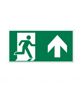 BORD NOODUITGANG RECHTDOOR/NAAR BOVEN 150X300 MM