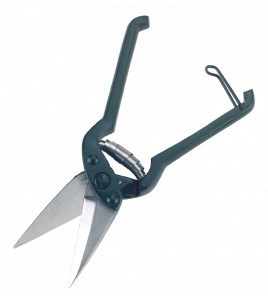 KLAUWSCHAAR SCHAAP 1 ST