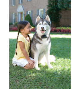 IN-GROUND RADIO FENCE SUPER IN-GROUND RADIO FENCE SUPER