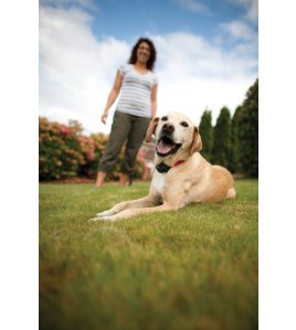 IN-GROUND RADIO FENCE IN-GROUND RADIO FENCE
