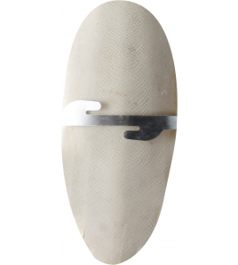 SEPIA SCHELP OP KAART 15CM