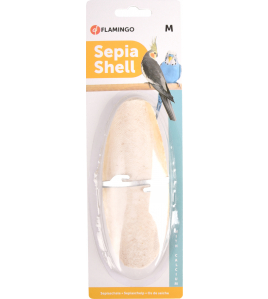 SEPIA SCHELP OP KAART 15CM