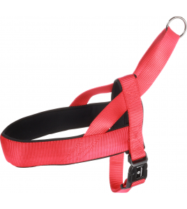 NOORS HARNAS ABBI ROOD L 55-70CM 25MM