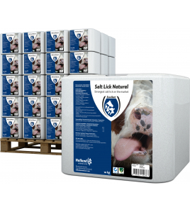 LIKSTEEN "NATUREL" 10 KG LIKSTEEN "NATUREL" 10 KG