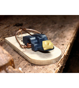 SUPERCAT MUIZENVAL LOS HOUT