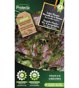 KROPSLA WONDER DER 4 JAARGETIJDEN