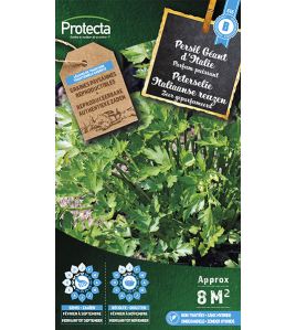 PETERSELIE ITALIAANSE REUZEN