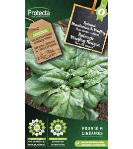 SPINAZIE VIROFLAY REUZEN