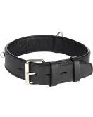 HALSBAND SEATTLE ZWART L 49-58CM 40MM