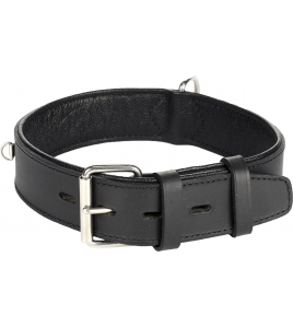 HALSBAND SEATTLE ZWART L 49-58CM 40MM