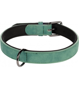 HALSBAND DELU GROEN L 42-52CM 25MM