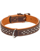 HALSBAND ATLANTA BRUIN S/M 31-37CM 25MM