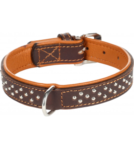 HALSBAND ATLANTA BRUIN S/M 31-37CM 25MM