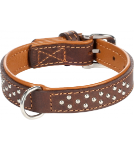 HALSBAND ATLANTA BRUIN S 25-31CM 22MM