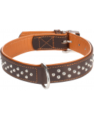 HALSBAND ATLANTA BRUIN L 41-50CM 35MM