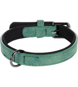 HALSBAND DELU GROEN XS/S 24-30CM 15MM