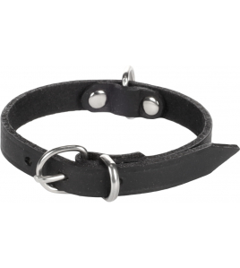 HALSBAND SEATTLE ZWART XS 18-21CM 10MM