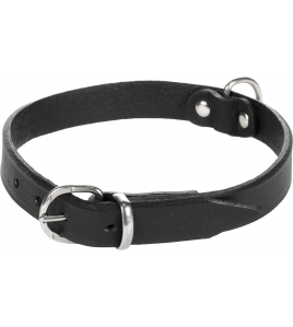 HALSBAND SEATTLE ZWART S/M 31-36MM 16MM