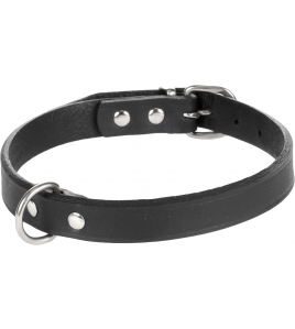 HALSBAND SEATTLE ZWART S/M 31-36MM 16MM