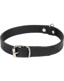 HALSBAND SEATTLE ZWART M/L 38-45CM 20MM