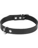HALSBAND SEATTLE ZWART M/L 38-45CM 20MM