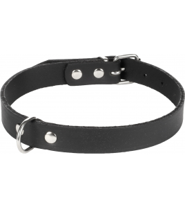 HALSBAND SEATTLE ZWART M/L 38-45CM 20MM