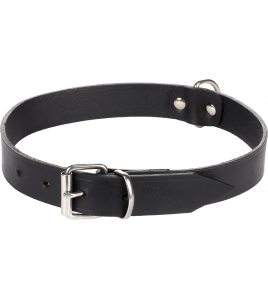 HALSBAND SEATTLE ZWART XL 46-54CM 25MM