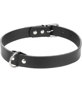 HALSBAND SEATTLE ZWART XL 46-54CM 25MM