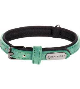 HALSBAND DELU GROEN XS 20-25CM 10MM
