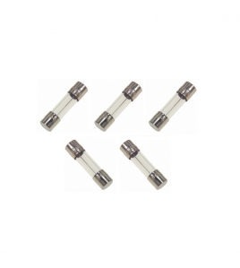 5 STUKS DIMMER ZEKERING 5X20MM 2,0A