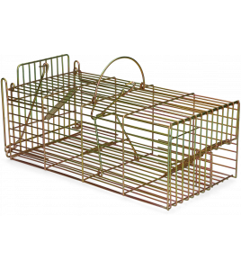 INLOOPVAL RAT LEVEND MASSA 1 ST