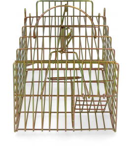 INLOOPVAL RAT LEVEND MASSA 1 ST