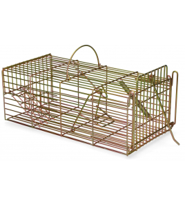 INLOOPVAL RAT LEVEND MASSA 1 ST