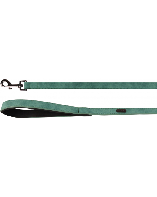 LOOPLIJN DELU GROEN 130CM 25MM