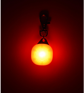 VEILIGHEIDSLAMP ZAYN ROOD TRANSPARANT LICHT