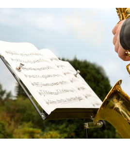 MAGNEET NEODYM GREEP D12MM 2ST 2KG