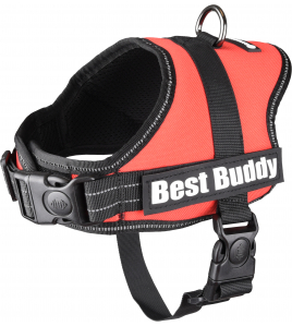 HARNAS BEST BUDDY PLUTO ROOD S 50-70CM 25MM