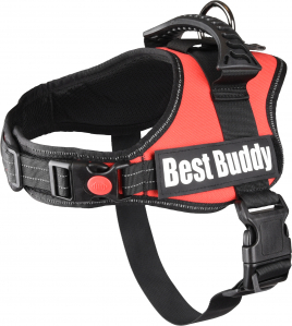 HARNAS BEST BUDDY PLUTO ROOD M 60-80CM 38MM