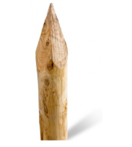 KASTANJE PAAL GEPUNT 180X12/14