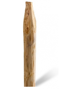 KASTANJE PAAL GEPUNT 180X6/8