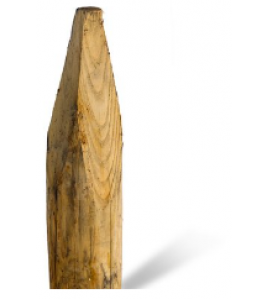 KASTANJE PAAL GEPUNT 200X14/16