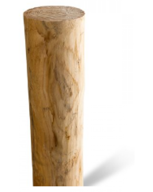 KASTANJE PAAL ONGEPUNT 300X12/14 A+