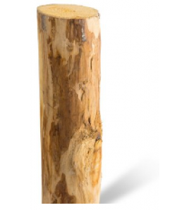 KASTANJE PAAL ONGEPUNT 500X10/12