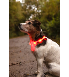 HALSBAND LED NERA ROOD 20-70CM 16MM