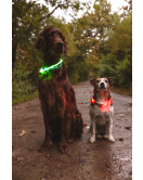 HALSBAND LED LEORA GROEN 33-63,5CM 8MM