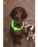 HALSBAND LED LEORA GROEN 33-63,5CM 8MM