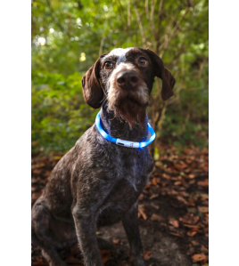 HALSBAND LED NERA BLAUW 20-70CM 16MM